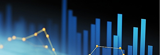 statistics.higherEducation